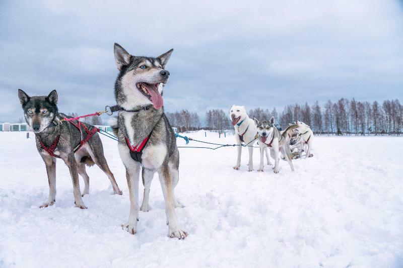 Snow Hotel Kemi Ngoại thất bức ảnh